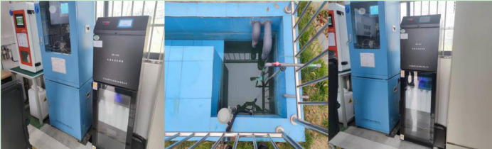 �r�ޱ����